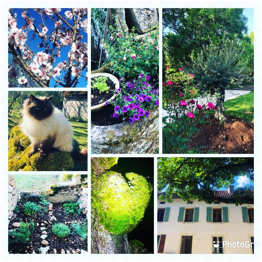 Limogne-en-Quercy Mas D'Aubrac Bed & Breakfast エクステリア 写真