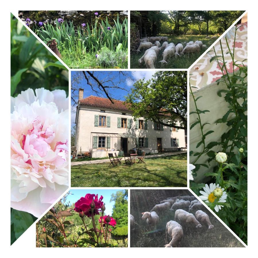 Limogne-en-Quercy Mas D'Aubrac Bed & Breakfast エクステリア 写真