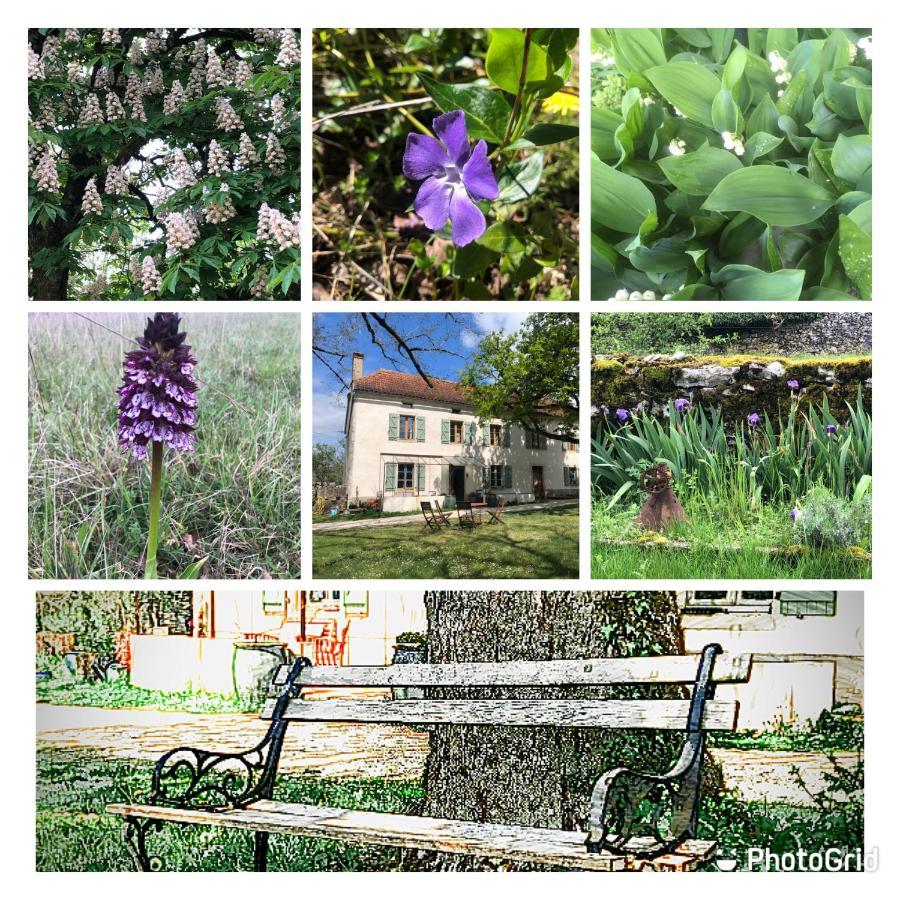 Limogne-en-Quercy Mas D'Aubrac Bed & Breakfast エクステリア 写真